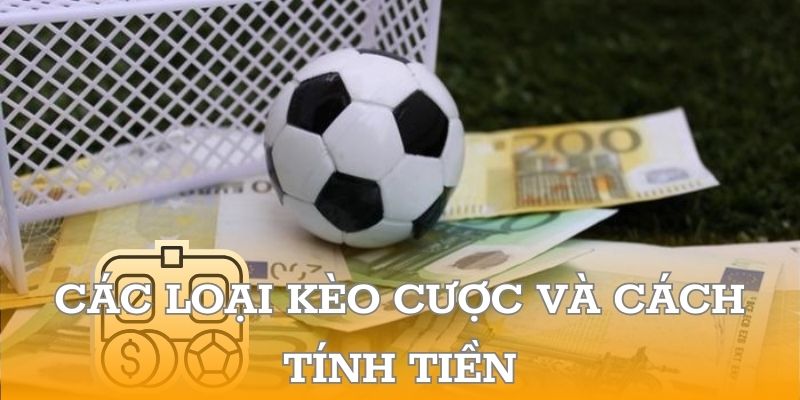 Các loại kèo cược và cách tính tiền