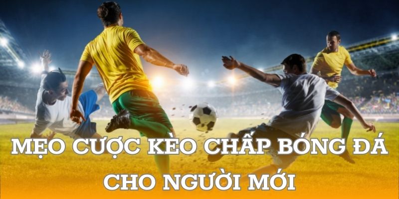 Mẹo cược kèo chấp bóng đá cho người mới